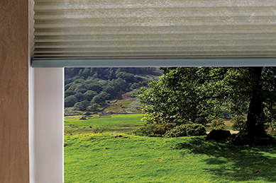 Blinds